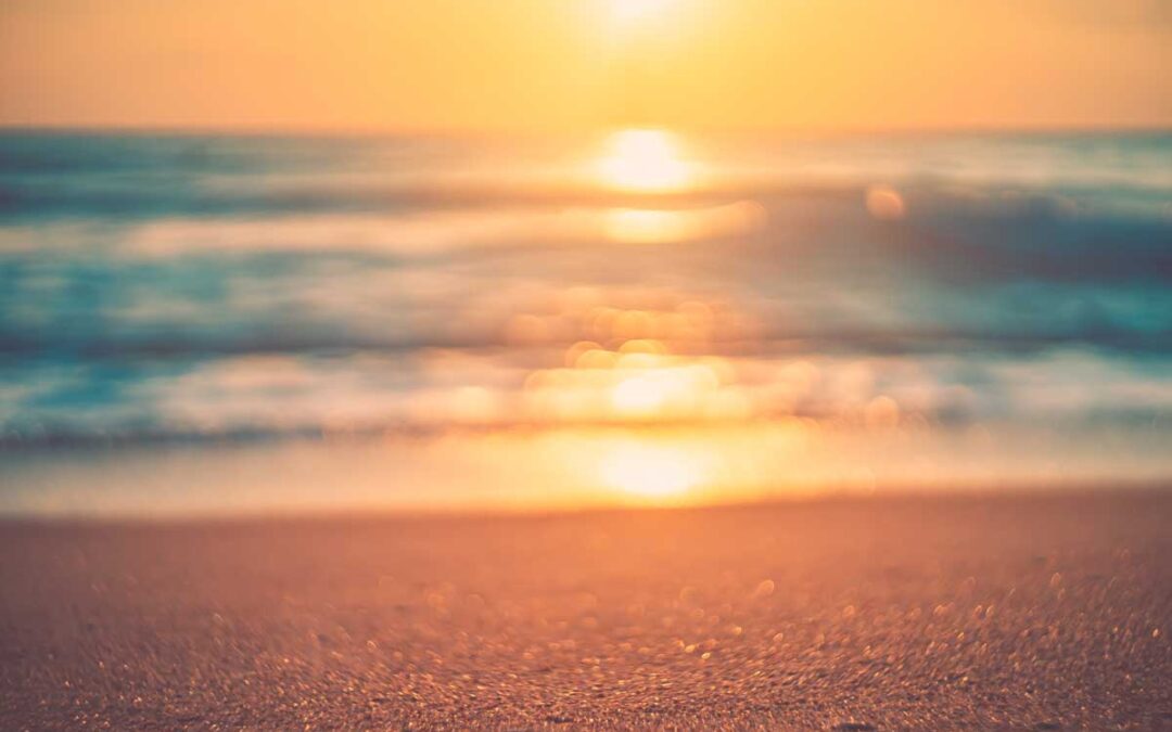 World Meteorological Organisation State of the Global Climate report 2025