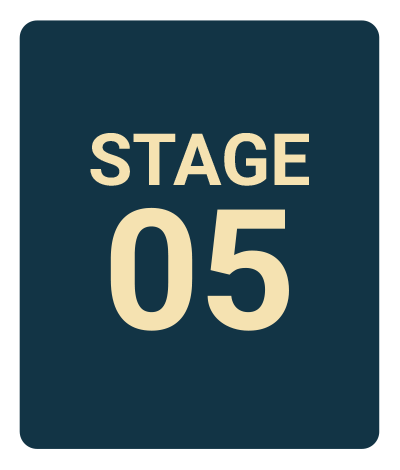Five stages to develop your Project Earth idea